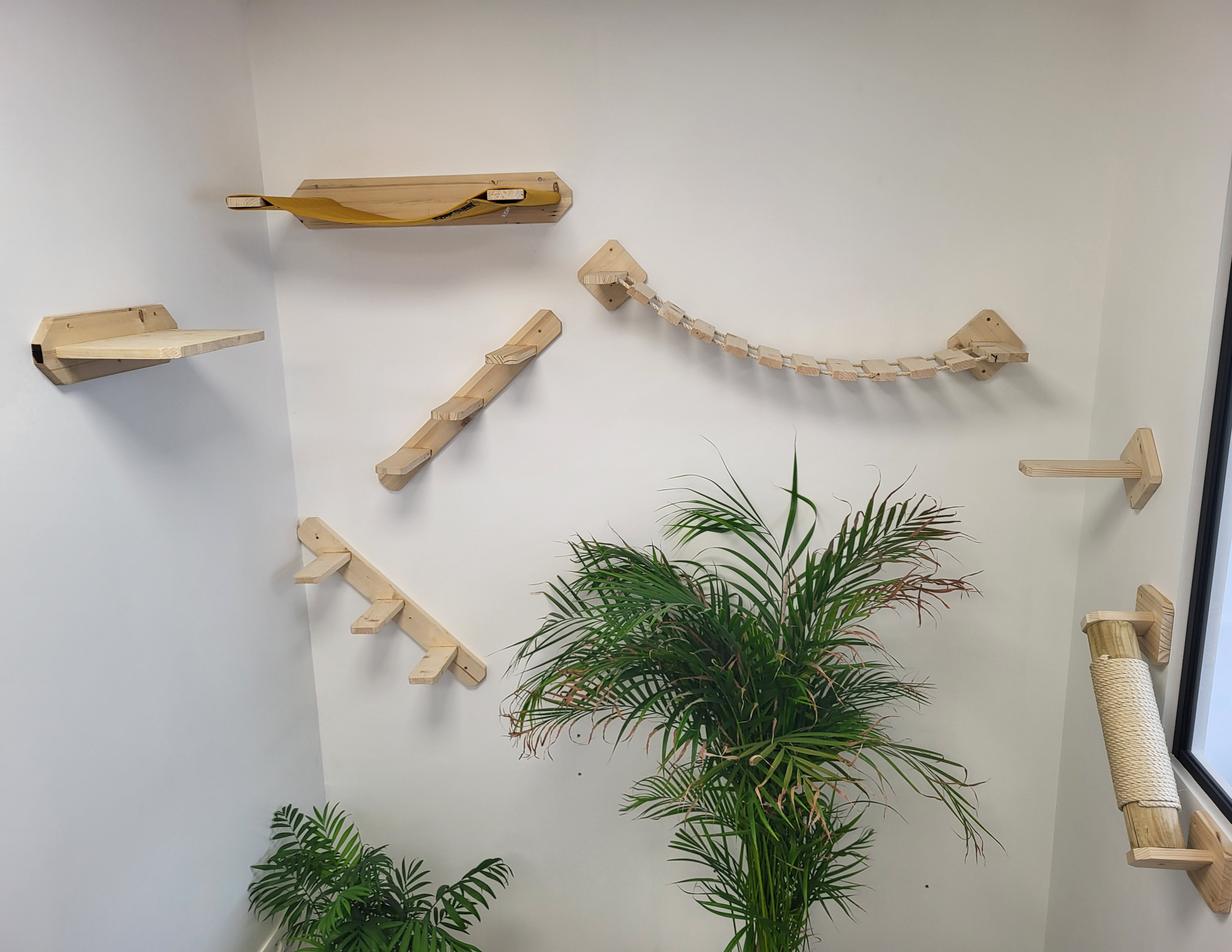 Mur d'escalade pour chat