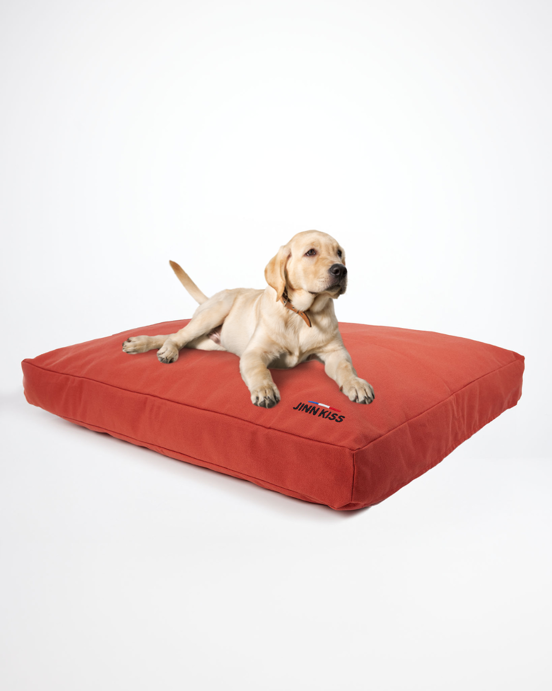 Coussin Matelisse