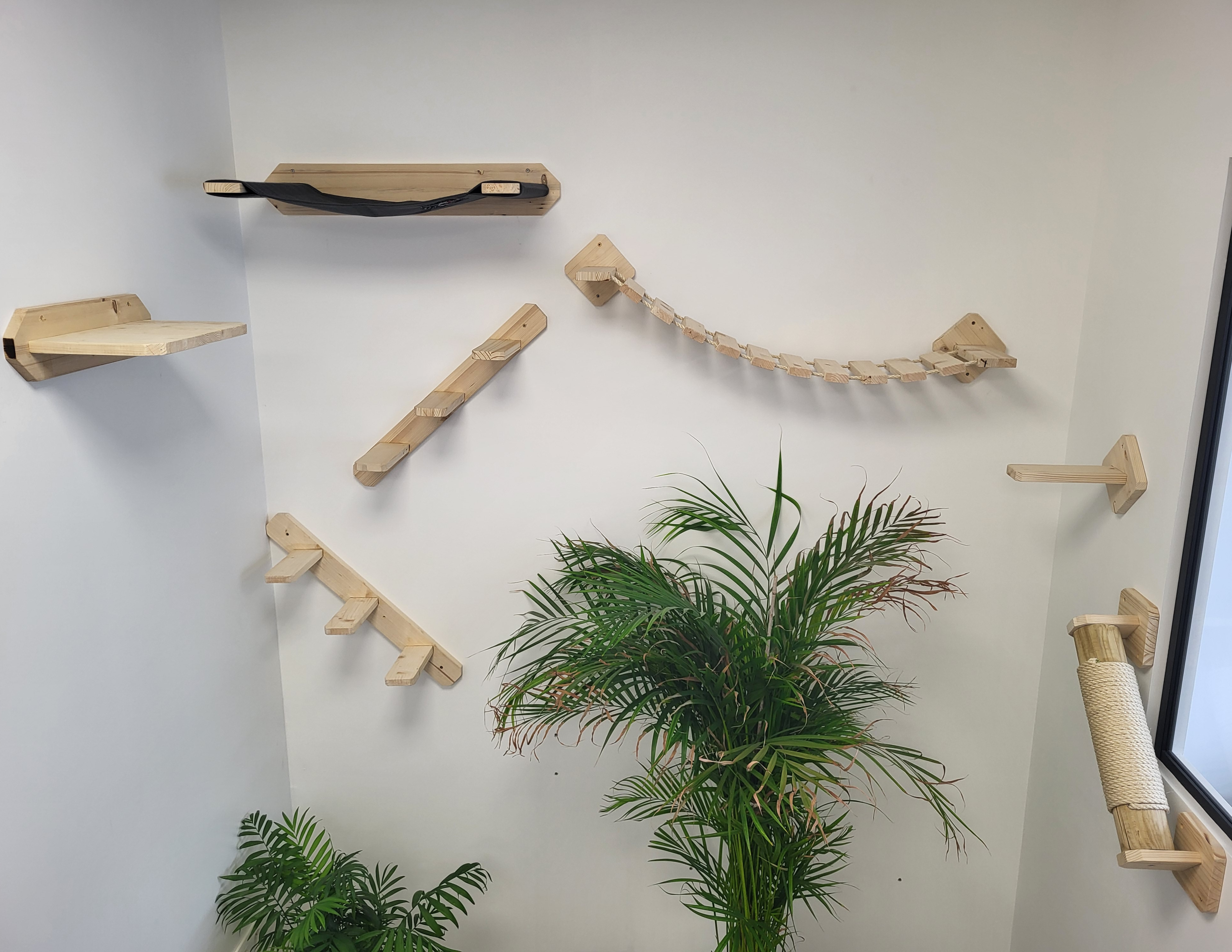 Mur d'escalade pour chat
