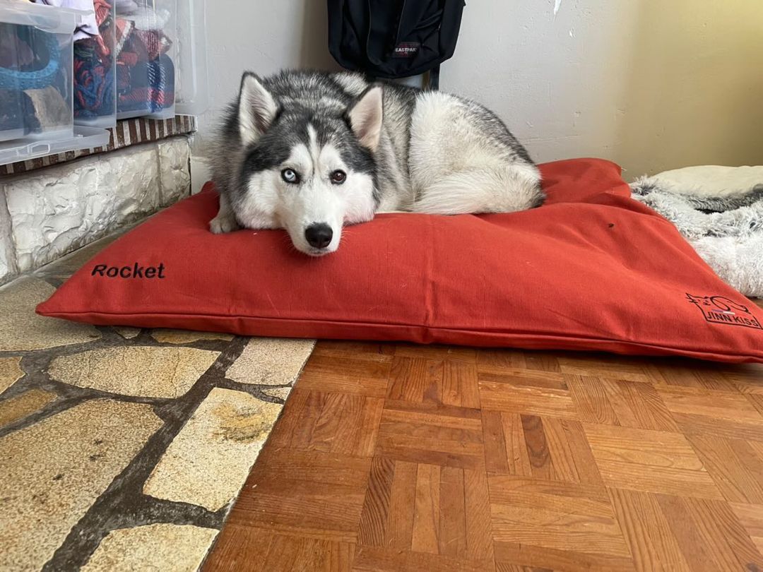 Coussin Pouf