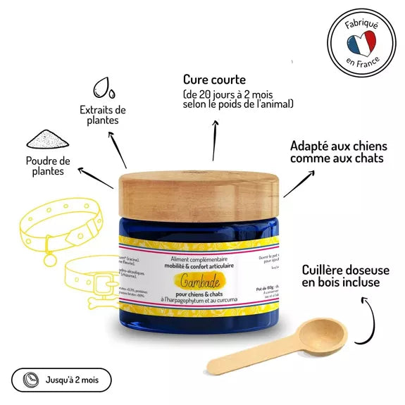 Mobilité & Confort articulaire – Cure courte – Complément alimentaire