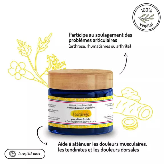 Mobilité & Confort articulaire – Cure courte – Complément alimentaire