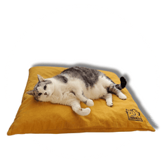 Couchages chat