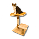 Arbres à chat