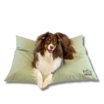 Couchages chien