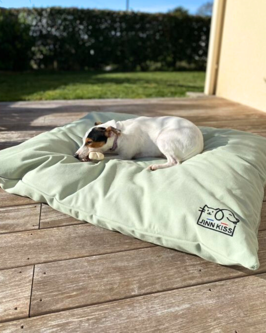 Coussin pouf pour chien