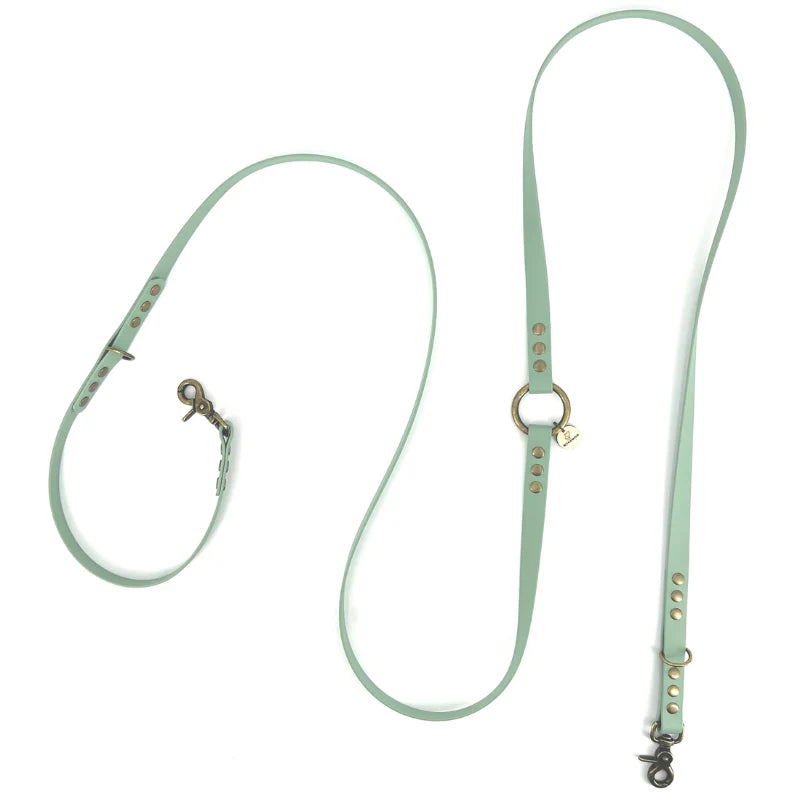 Laisse MULTIPOSITION chien - BioThane® - Vert d'eau