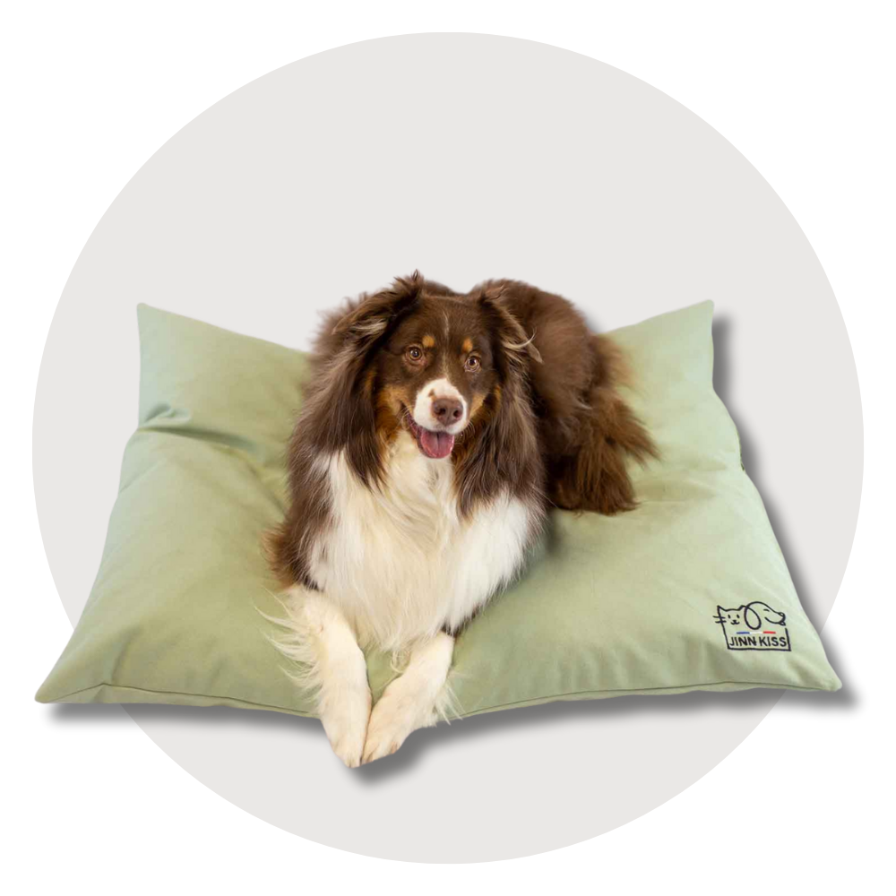 Couchage