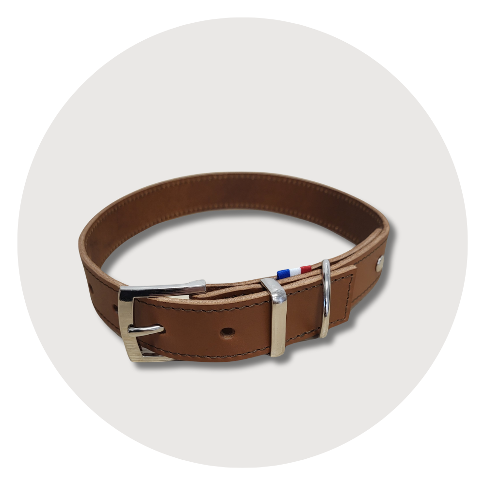 Laisse-collier-gamelle
