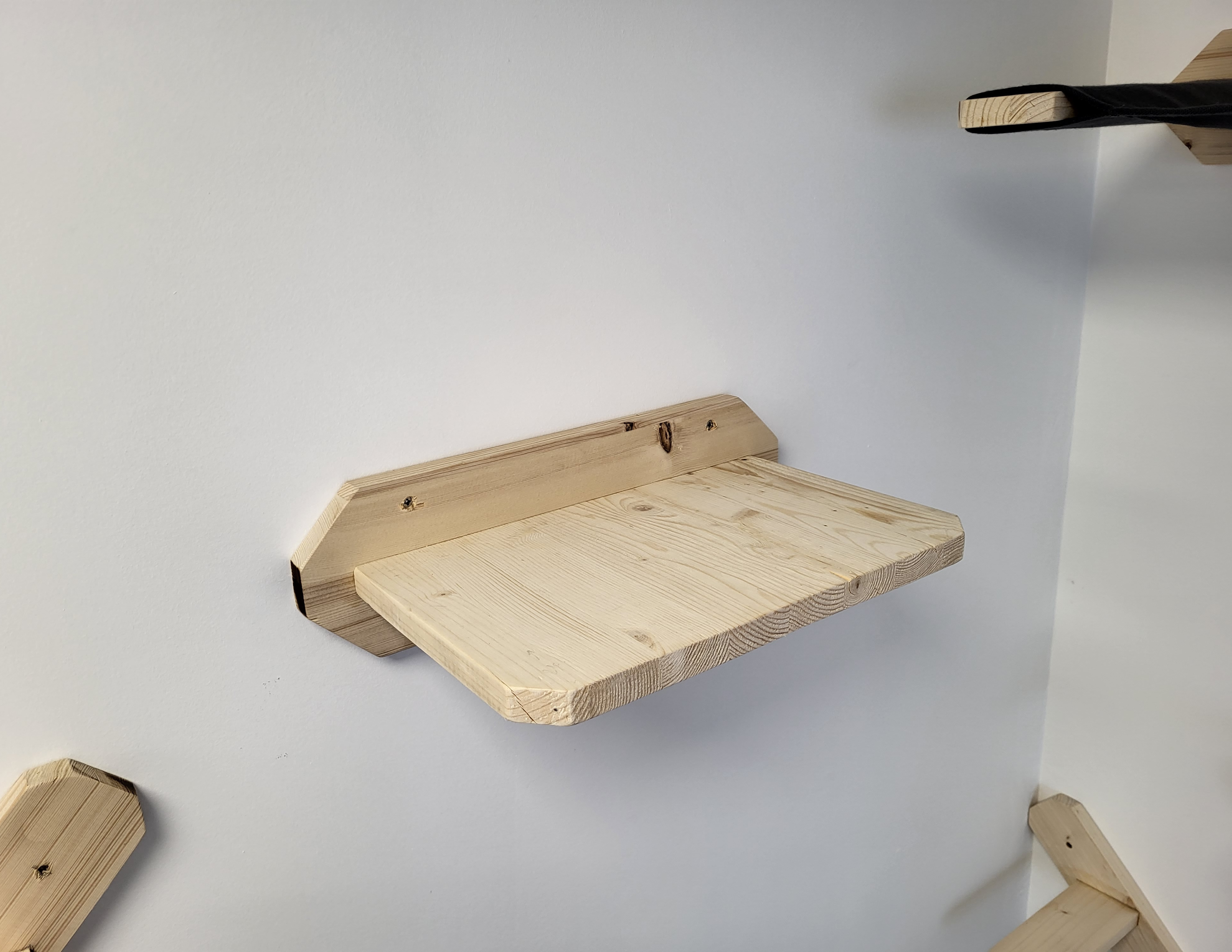 Mur d'escalade pour chat