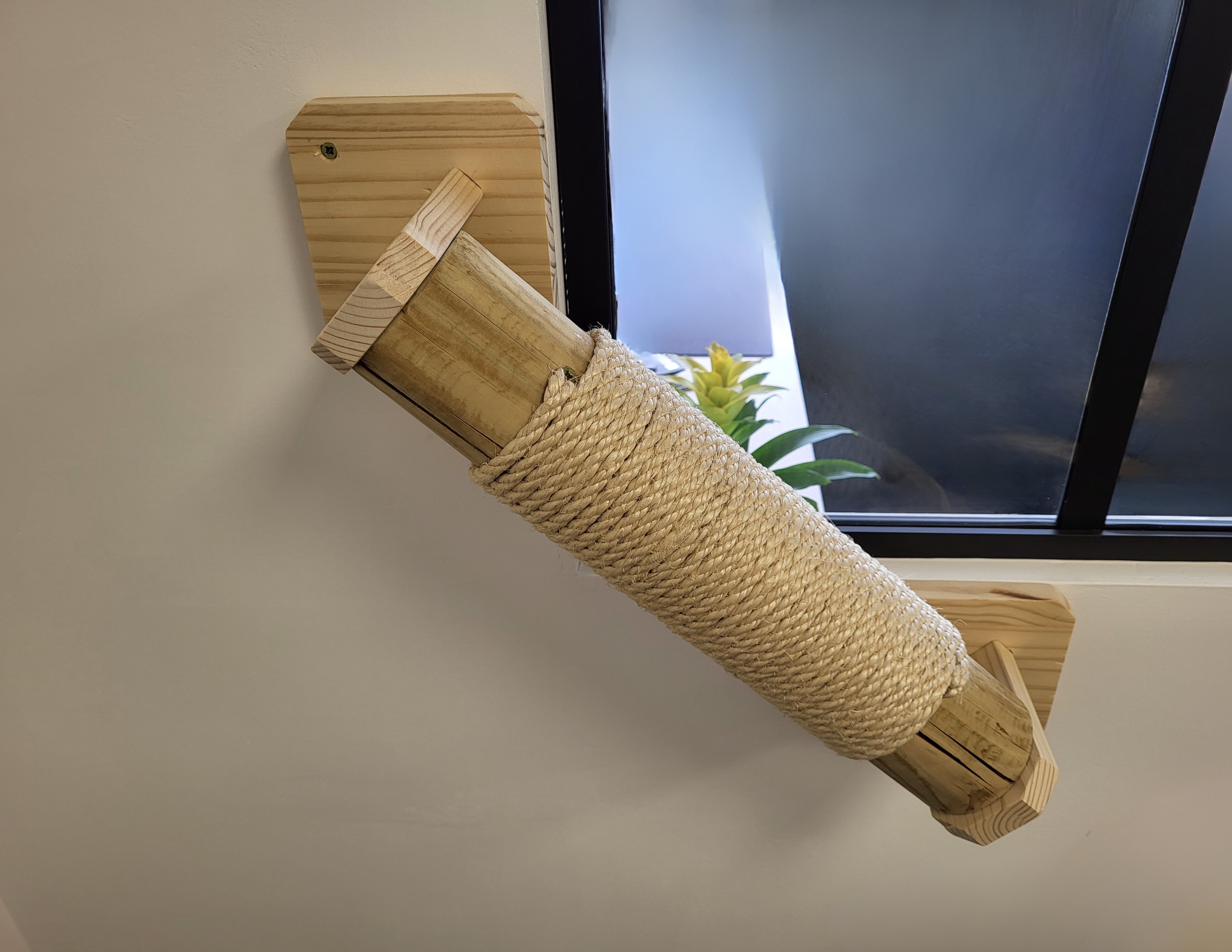 Mur d'escalade pour chat