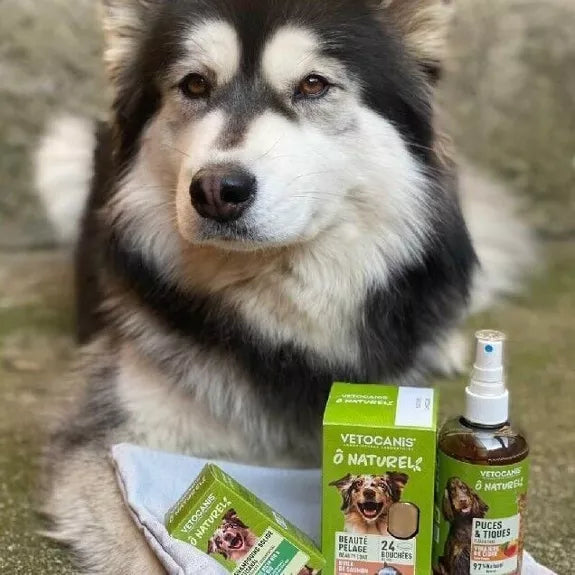 Complément alimentaire Puces & Tiques pour Chien, à l'Ail et Menthe Poivrée