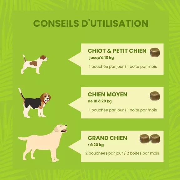 Complément alimentaire Puces & Tiques pour Chien, à l'Ail et Menthe Poivrée