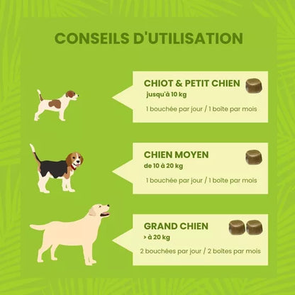 Complément alimentaire Puces & Tiques pour Chien, à l'Ail et Menthe Poivrée