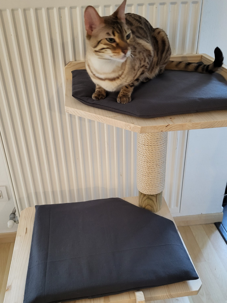 Arbre à chats en bois