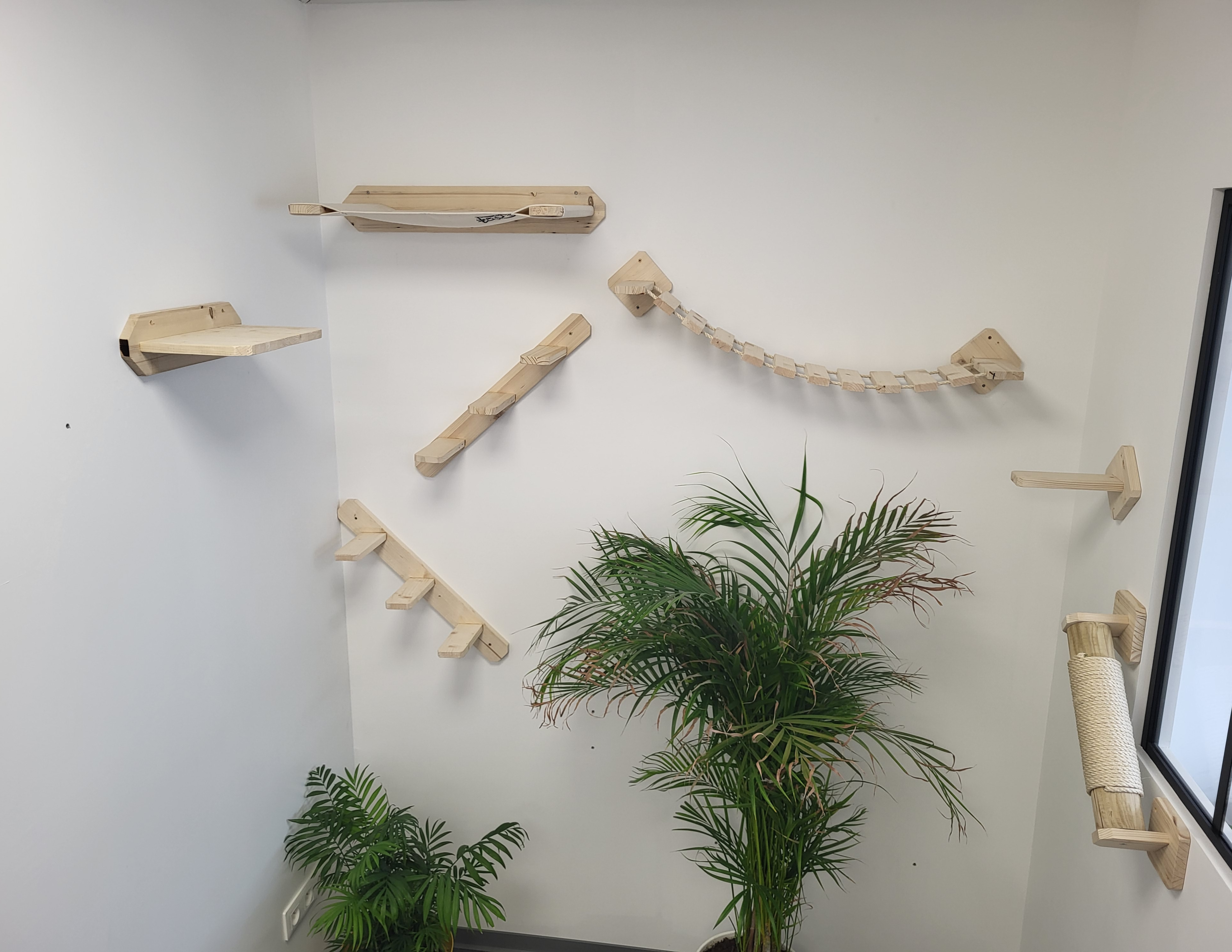 Mur d'escalade pour chat