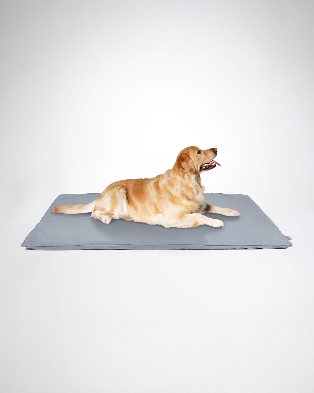 Tapis PATTADOU