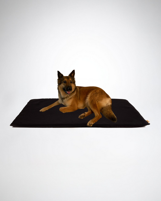 Tapis Orthopédique Pattadou - Jinnkiss