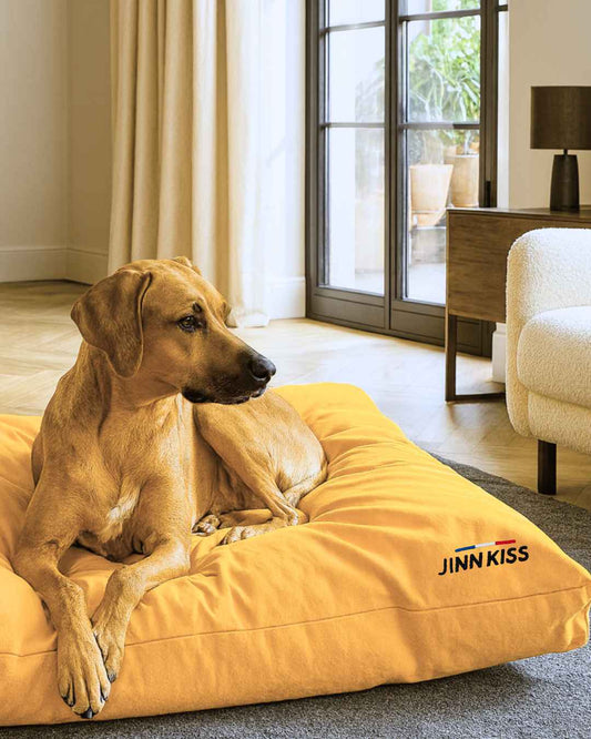 Coussin Matelisse