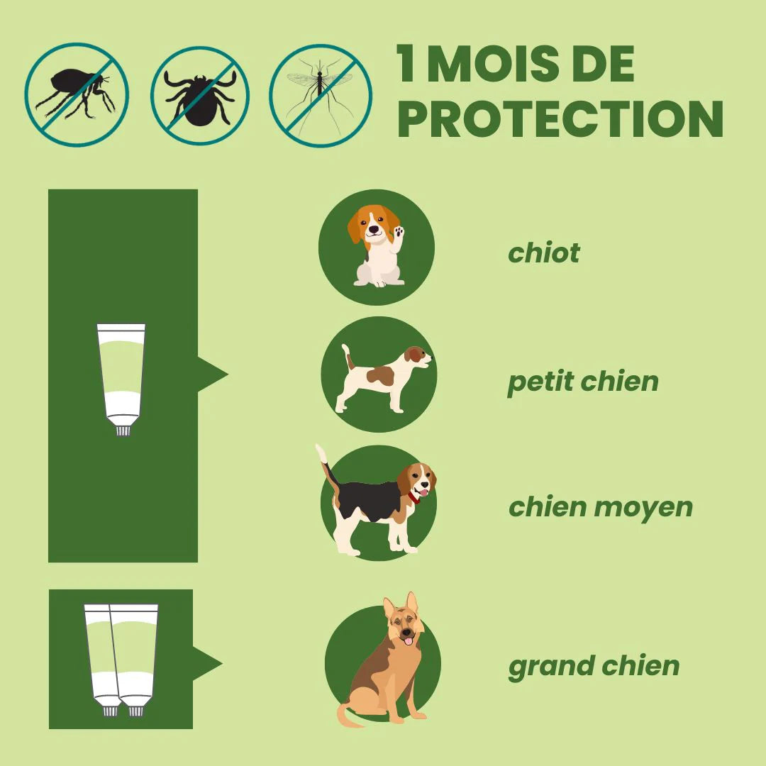 Pipettes Répulsives Anti-Puces et Anti-Tiques Ingrédients BIO pour Chien