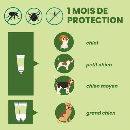 Pipettes Répulsives Anti-Puces et Anti-Tiques Ingrédients BIO pour Chien
