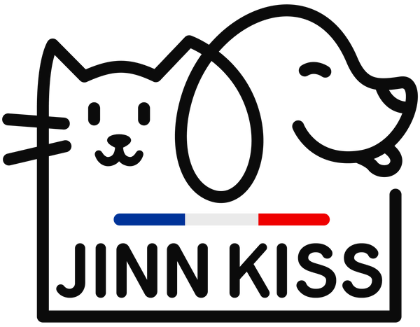 Jinnkiss