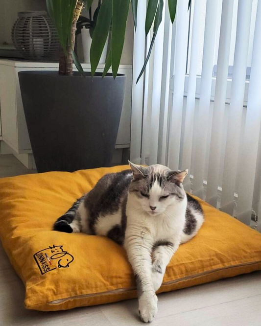 Coussin pouf pour chat