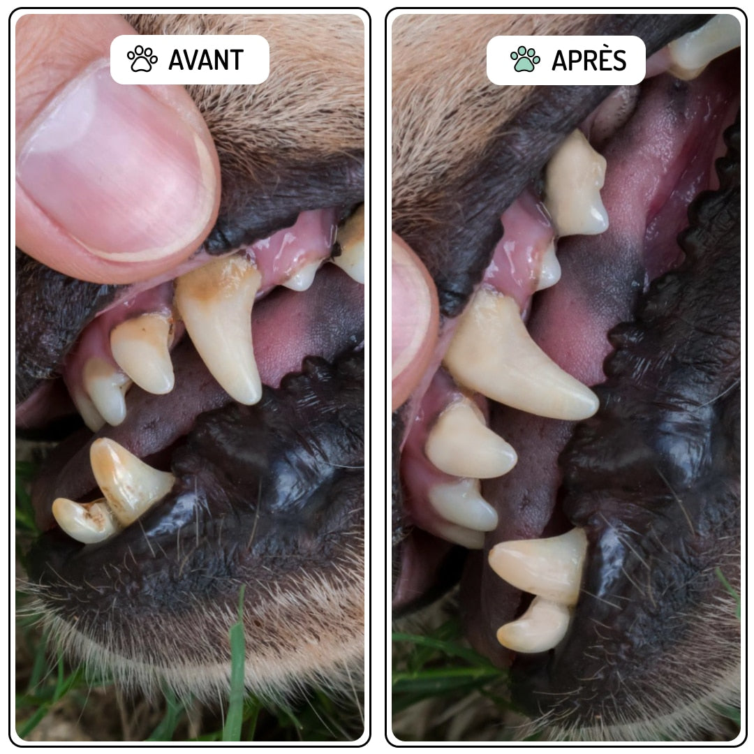 Sourire, Anti-tartre et bonne haleine